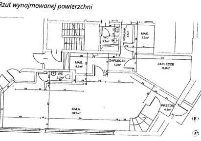 lokal na wynajem - Warszawa, Śródmieście, Powiśle